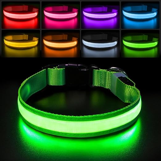 Lumipup - SE