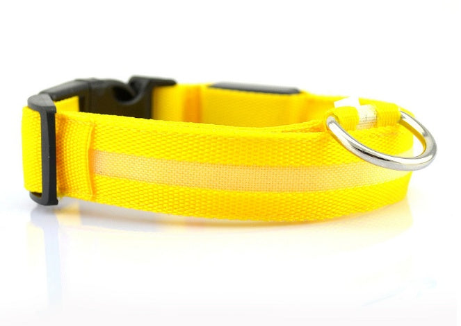 Lumipup - SE