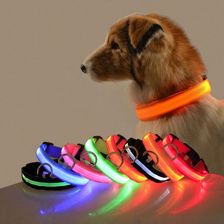 Lumipup - SE