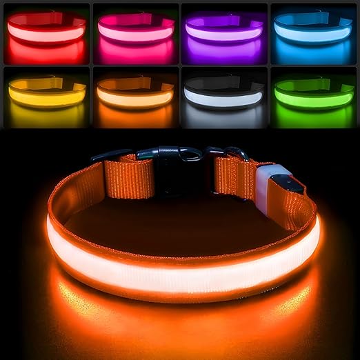 Lumipup - SE