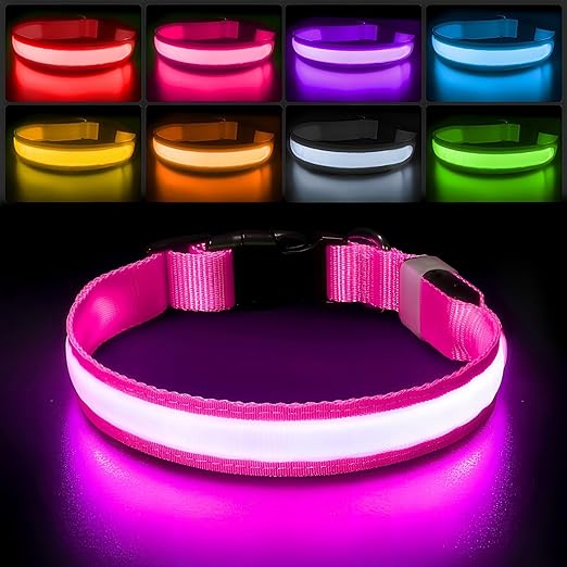 Lumipup - SE