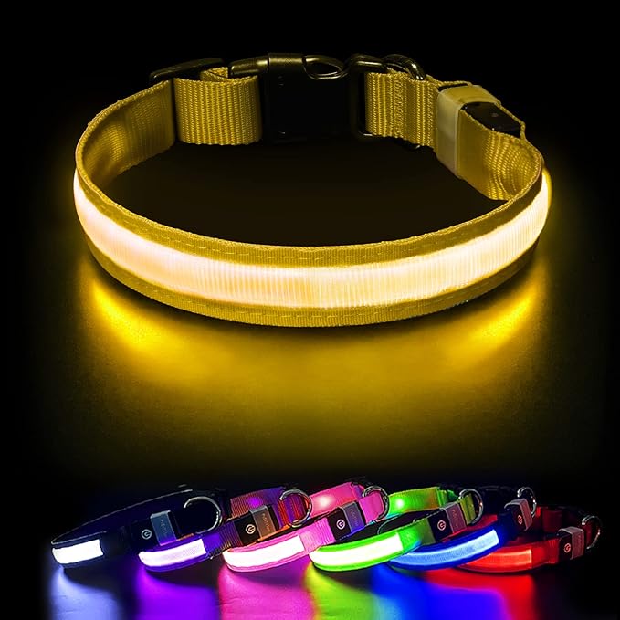 Lumipup - SE